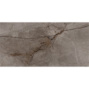 Bien Root Ash Parlak 60x120 Yer ve Duvar Karosu P156XDBS87TX0XPXXQ50