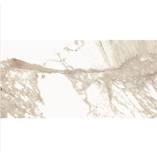 Bien 60x120 Calacatta Oro Yer ve Duvar Seramiği P156XDBC79TX0XPXXW50