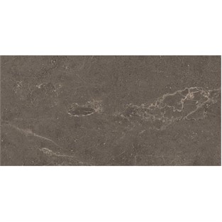 VitrA 60x120 Meteorite Fon Vizon Mat R10B K953499R0001VTSP