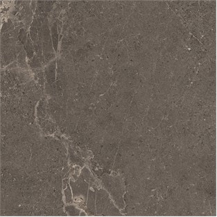 VitrA 60x60 Meteorite Fon Vizon R10B Porselen Karo K953498R0001VTE0