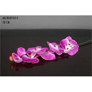 Vitale Dal Orkide Eflatun AK.BG0153-E