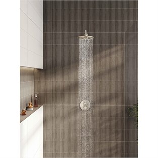Artema Bliss 2F Duş Başlığı Fırçalı Nikel A4574234