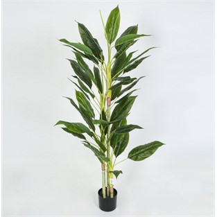 Vitale Yapay Ağaç 177Cm AK.JC0009