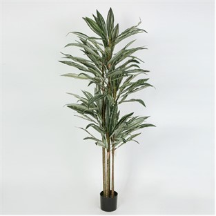 Vitale Yapay Ağaç 198Cm AK.JC0030