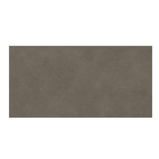 Bien 60X120 Concept Vızon P156XDAC18TX0FPXXQ50