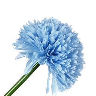 Vitale Mavi Kadife Çiçeği 62 cm AK.BG0120-M