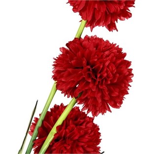 Vitale Kır Çiçekli Begonya Demeti Kırmızı 90 cm AK.BG0138-K