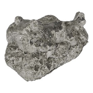 Vitale İmera Kurbağa Heykeli 24x15 cm AK.GC0013