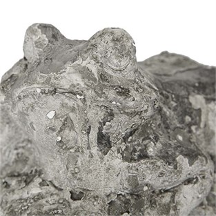 Vitale İmera Kurbağa Heykeli 24x15 cm AK.GC0013