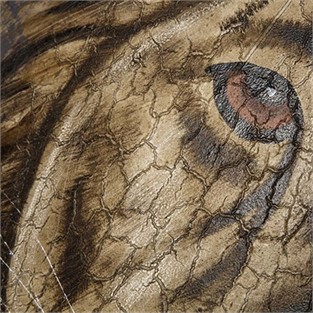 Vitale Doru Aslan Dekoratif Tablo 100x100 cm AK.GI0004