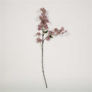 Vitale Kiraz Çiçeği Purple Kiray Çiçek 20*100*9 cm
