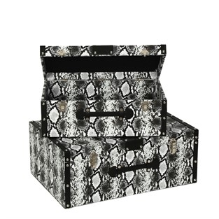 Vitale Beyaz Yılan Desenli Ahşap Sandık Seti AK.WLT0424-BY