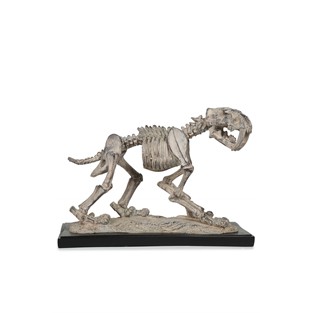 Vitale Polyester Fosil Biblo 39*16*27 cm AK.ID0166