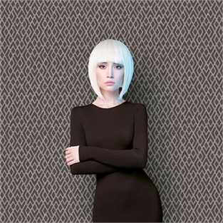 Duka Antrasit Duvar Kağıdı DK.16118-5 (16 m2 )