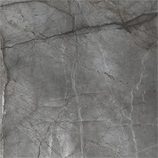 Bien Root Silver Parlak 100x100 Yer ve Duvar Karosu P198XDBS87TX0XPXXG50 (1,94 m2 )