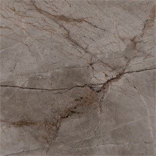 Bien Root Ash Parlak 100x100 Yer ve Duvar Karosu P198XDBS87TX0XPXXQ50 (1,94 m2 )
