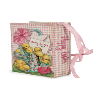 Vitale Civcivli Çocuk Kitap Kutu 9.5*7.2*4.5 cm AK.JI0084