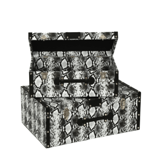 Vitale Beyaz Yılan Desenli Ahşap Sandık Seti AK.WLT0424-BY