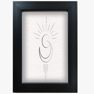 Vitale Siyaj Çerçeve AK.WLT0870