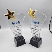 ANSELL Cam Plaket