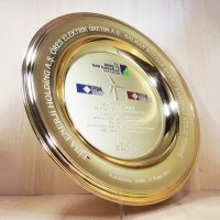 Salman Rüzgar Enerji Tabak Ödülü