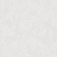 DK.260002-6
