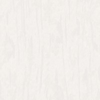 DK.260004-2