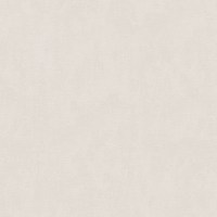 DK.29310-4