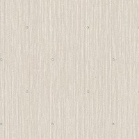 DK.T21162-1