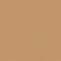 DK.51113-2