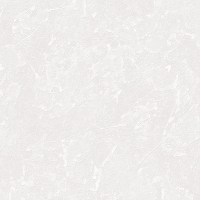 DK.260002-1