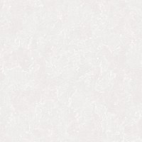 DK.260002-1