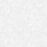 DK.29547-2