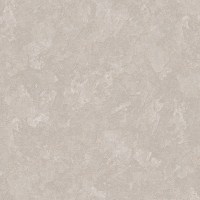 DK.260002-9