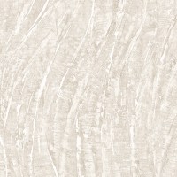 DK.29123-5