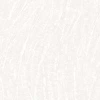 DK.29123-1