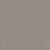 DK.81124-5