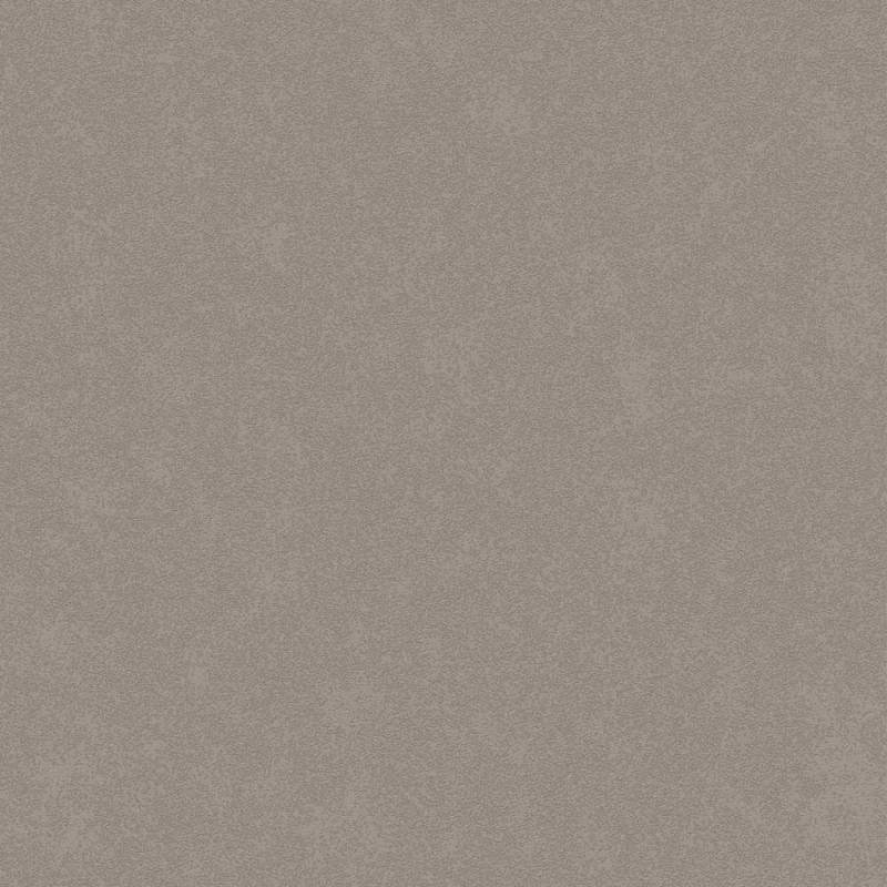 DK.81124-5