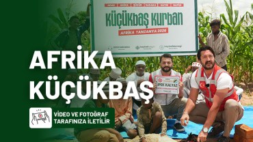 AFRİKA KÜÇÜKBAŞ KURBAN BAĞIŞI