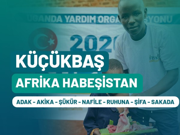 Nijerya Küçükbaş | Yetim Medresesi