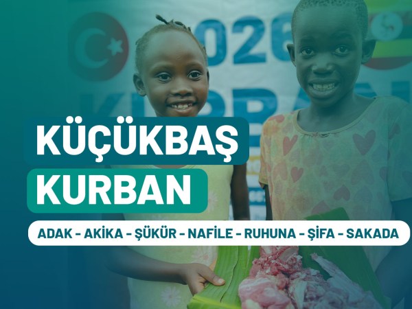 Afrika Küçükbaş  | 2. Bölge