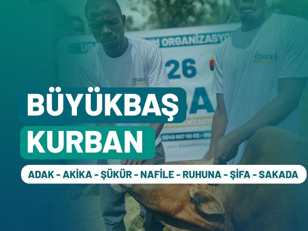 Büyükbaş Kurbanı | 3 Bölge