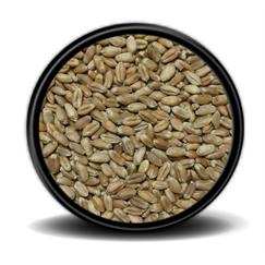 Hobi Kırmızı Buğday 25 kg