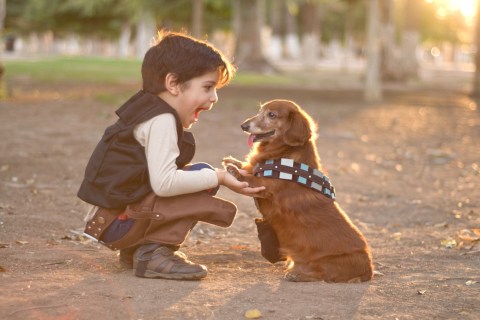 Çocuklarla Köpekleri Büyütmenin Faydaları Nelerdir?