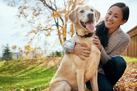 Köpeğinizin Yaşını Nasıl Hesaplarsınız?