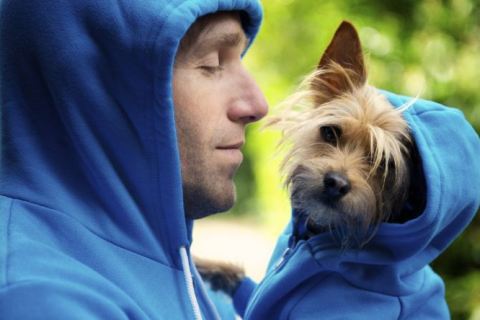Evde Köpek Beslemek Zor mudur? Köpek Beslemenin Sorumlulukları