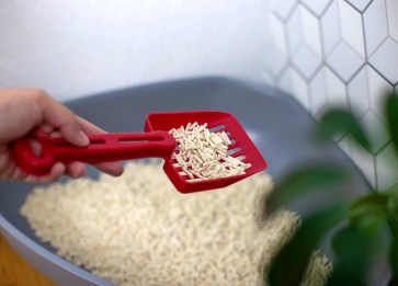 Kedi Kumu Türleri Karşılaştırması: Bentonit, Silika ve Doğal Kum