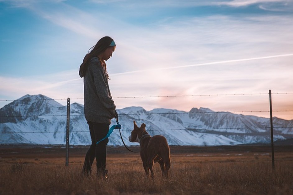 Köpeğinizle Aranızdaki Bağı Güçlendirecek Etkinlikler Nelerdir ?