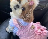 Shih Tzu prenses bebekler