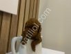 Dark brow eşsiz kalite